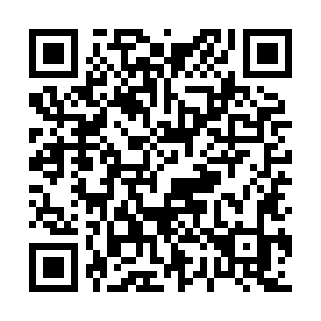 QR code for P29-XLK