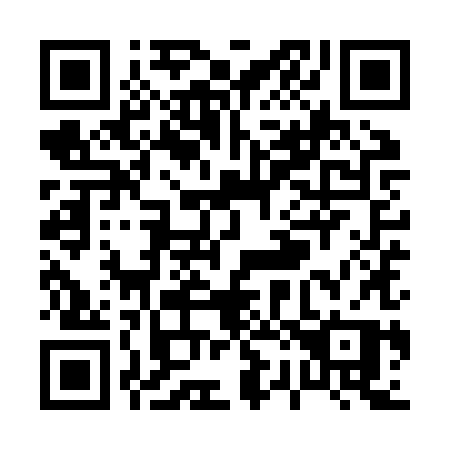 QR code for P29-ZXP