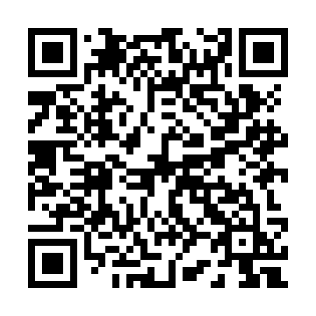 QR code for plate P29-JKJ