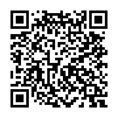 QR code for P31-DUA