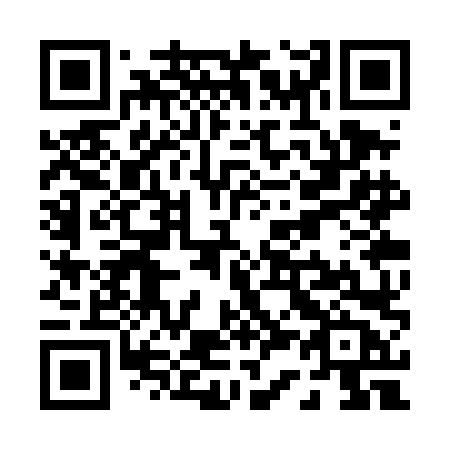 QR code for P33-TLB
