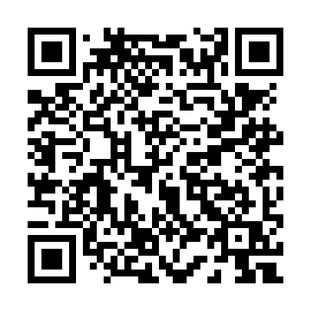 QR code for plate P33-NIQ