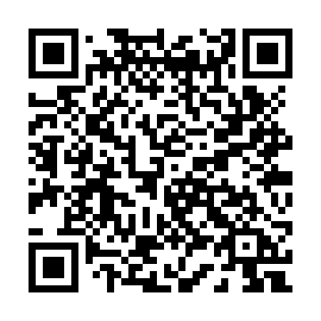 QR code for plate P33-ZRA