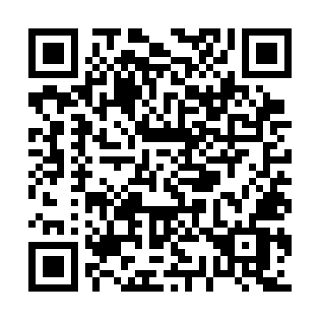 QR code for P35-SMV