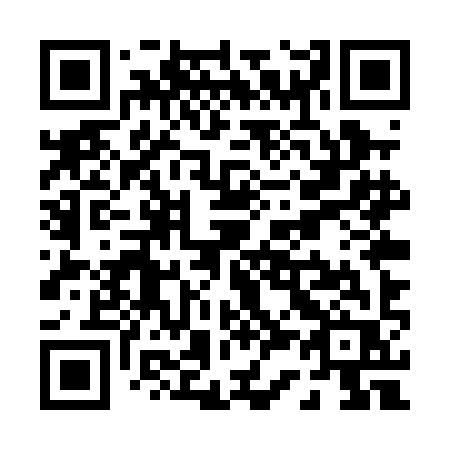 QR code for plate P35-PIR