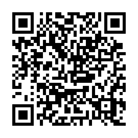 QR code for plate P36-SFZ