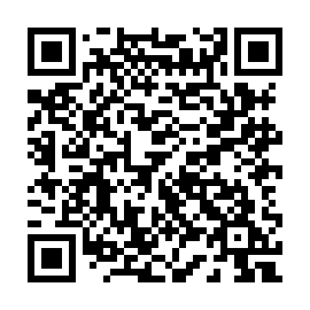 QR code for P38-HAG