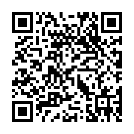 QR code for P38-MBQ