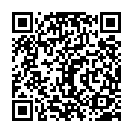QR code for P38-UDY