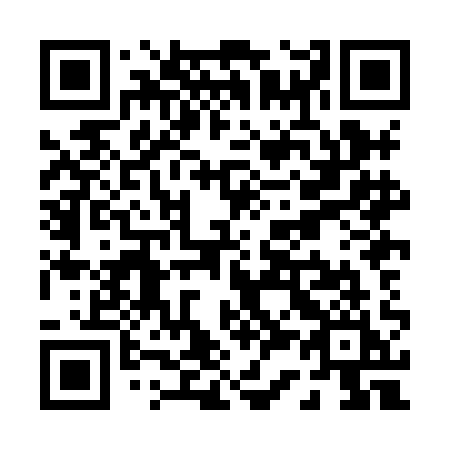 QR code for plate P38-HAI