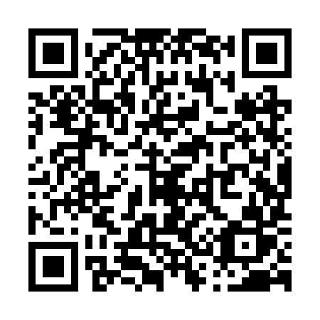 QR code for plate P38-RYR