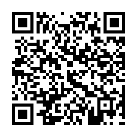 QR code for P40-ZIR