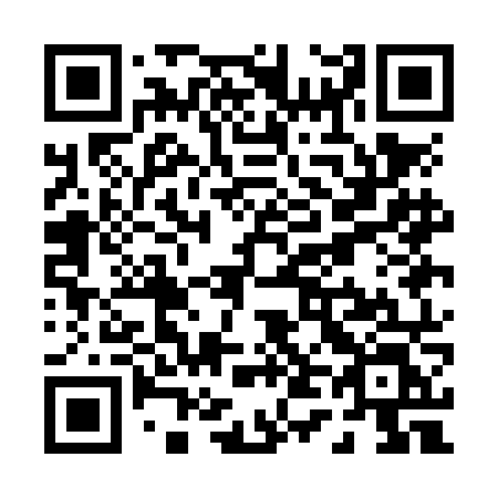 QR code for P41-NNL