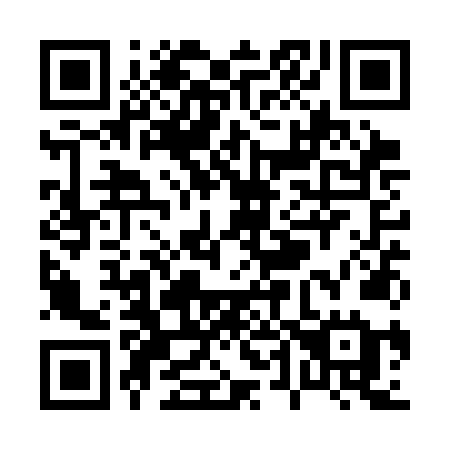QR code for P41-SNE