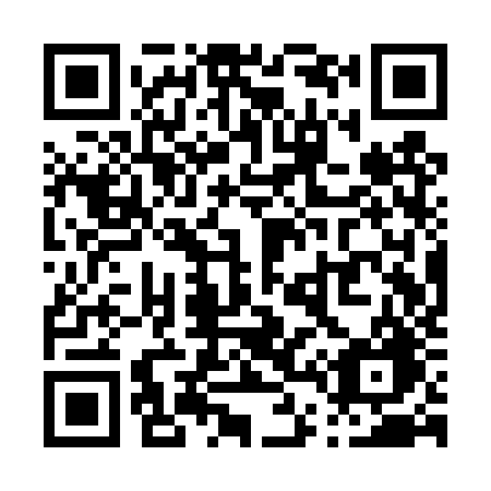 QR code for P41-TZG