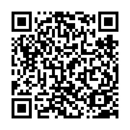 QR code for plate P41-FEU