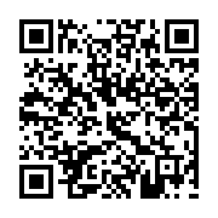 QR code for P42IDU