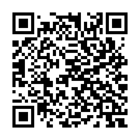 QR code for plate P46-CPF
