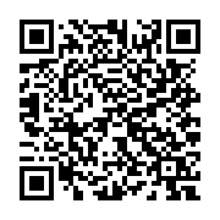 QR code for plate P46-OWS