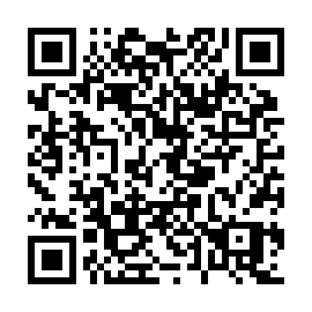 QR code for plate P46-ZFP