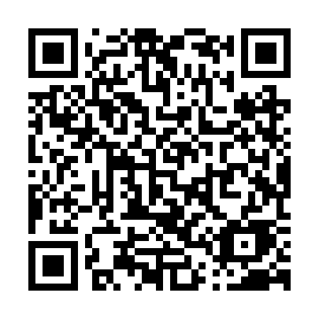 QR code for plate P48-RSE