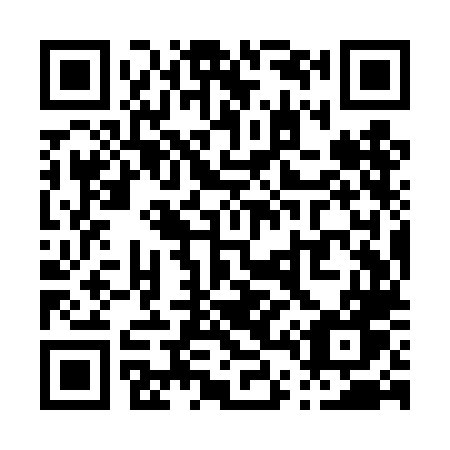 QR code for P49-TLW