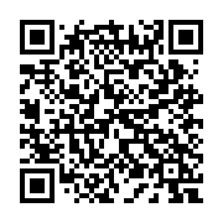 QR code for plate P50-BDK