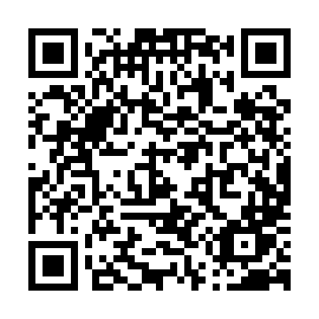 QR code for plate P50-QLT