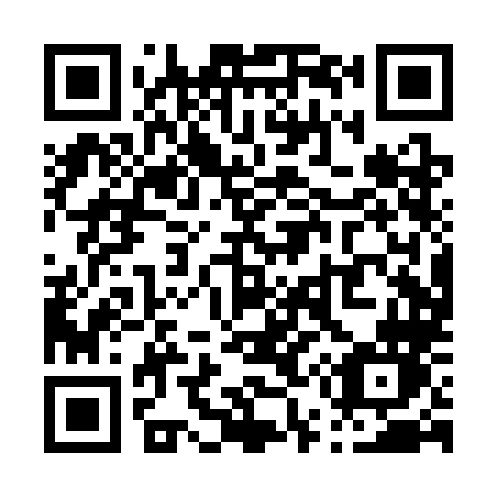 QR code for plate P50-SLN
