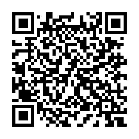 QR code for plate P51-DMI