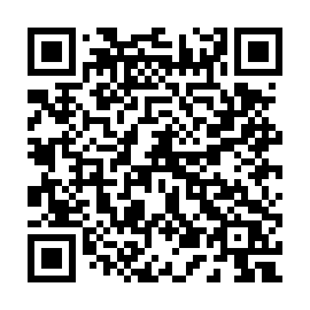 QR code for plate P51-DTR