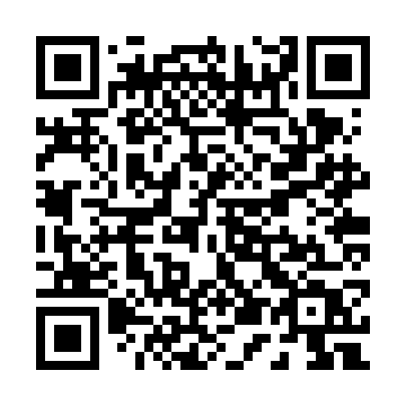 QR code for P52-VGT