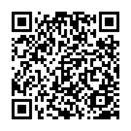 QR code for P53-COR