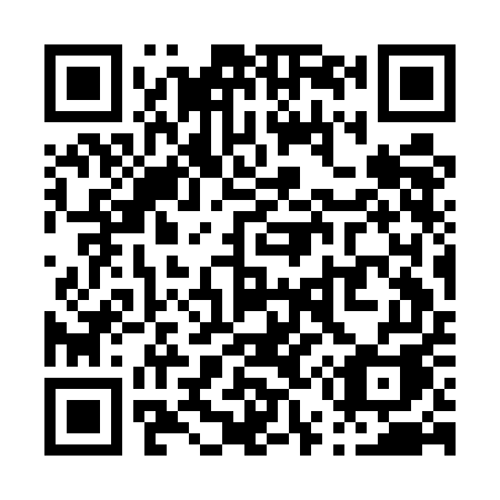 QR code for P53-EEA