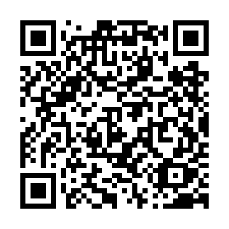 QR code for plate P53-WEX