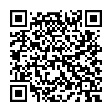 QR code for P54GVT