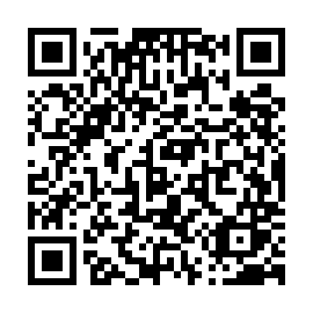 QR code for P55-UMS