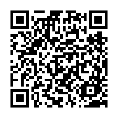 QR code for P55-VDO