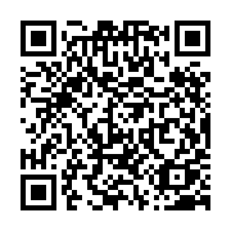 QR code for P55-XIQ