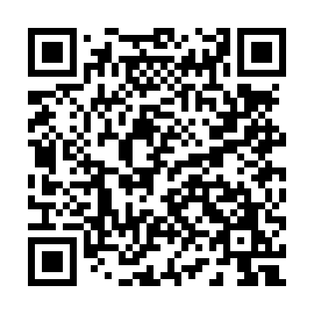 QR code for P63-LUO