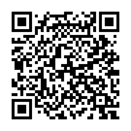 QR code for P63-RIA