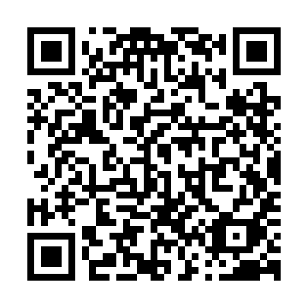 QR code for P63SII