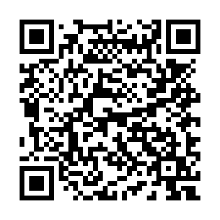 QR code for plate P65-NYU