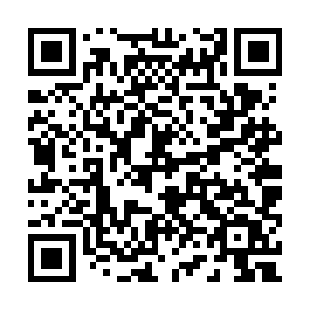 QR code for plate P66-VHT