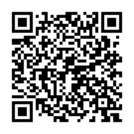 QR code for P81-ADE