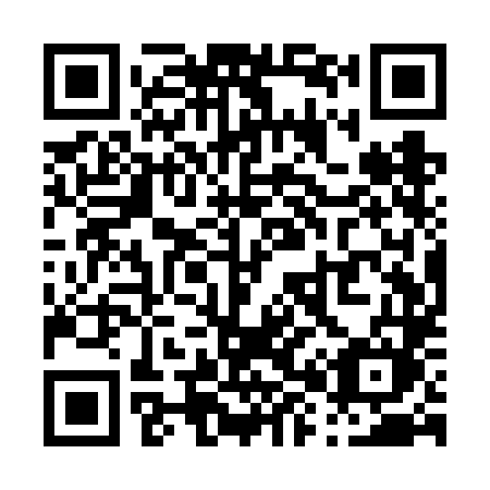 QR code for P81-VLM