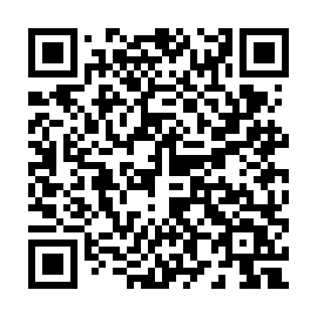QR code for P83-FLT