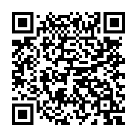 QR code for P85-LQN