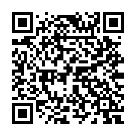 QR code for plate P85-PPI