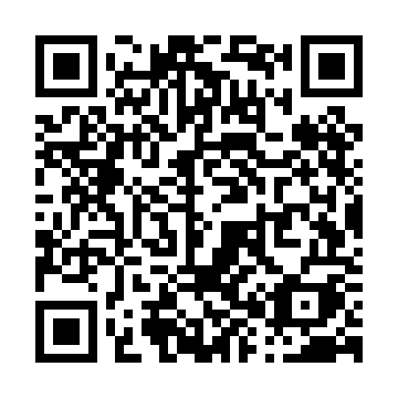 QR code for plate P87-POI